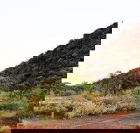 Whyalla Conservation Park - Lennox Head Accommodation