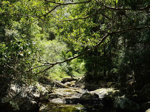 Witta - Lennox Head Accommodation 0