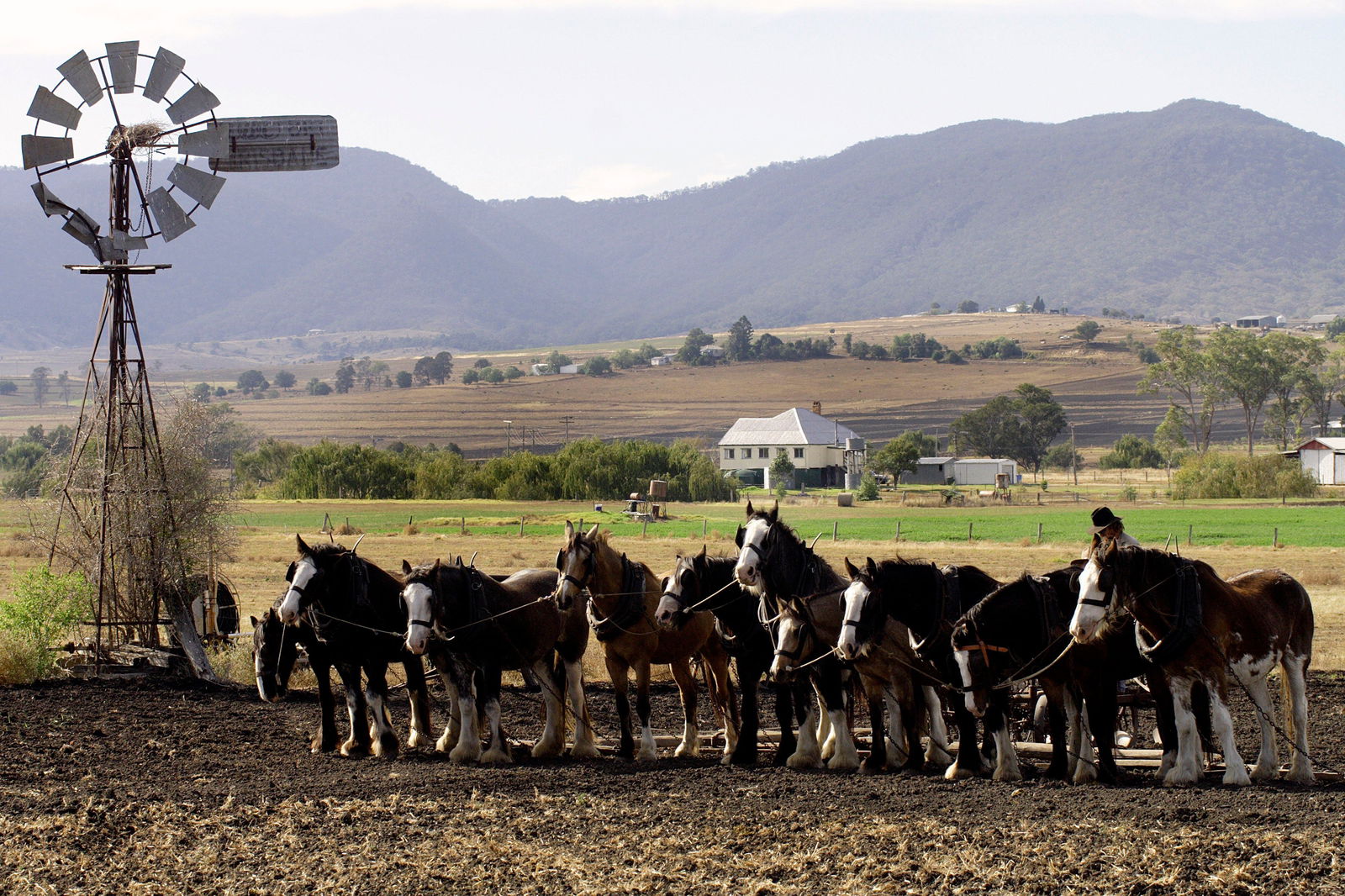 Emu Vale QLD Lennox Head Accommodation