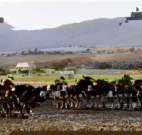 Yangan - Lennox Head Accommodation