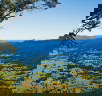 Blackbutt Lookout Picnic Area - Lennox Head Accommodation