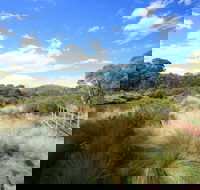 Bullocks walking track - Lennox Head Accommodation