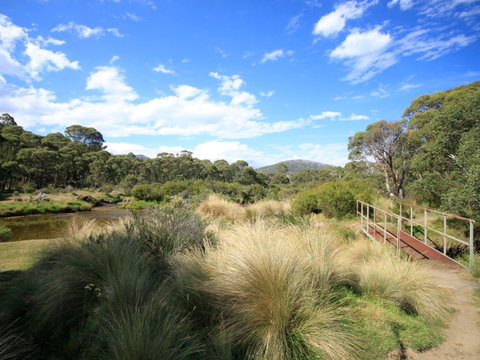 Bullocks Walking Track - Lennox Head Accommodation 0