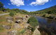 Bullocks Walking Track - thumb 1