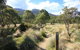 Bullocks Walking Track - thumb 2