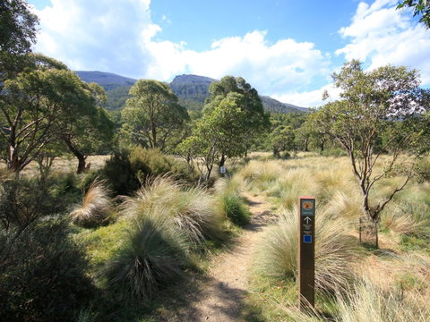 Bullocks Walking Track - Lennox Head Accommodation 2