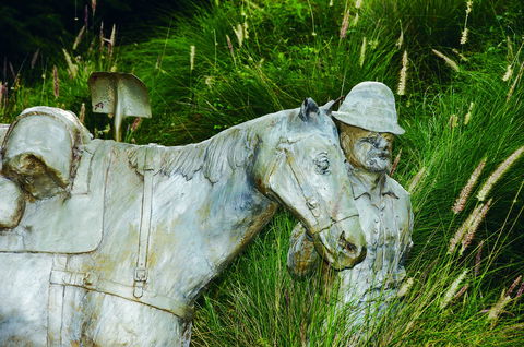 Centenary Park - Lennox Head Accommodation 0