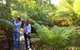 Endeavour Fern Gully Walks - thumb 0