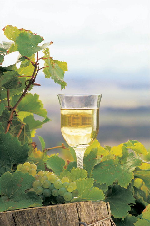 Flavours Of The Porongurup Range Trail - Lennox Head Accommodation 0