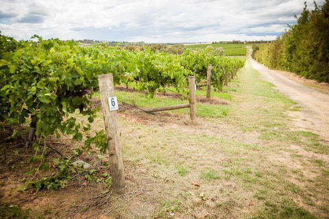Grove Estate Wines - Lennox Head Accommodation 0