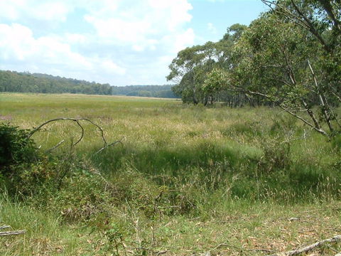 Hume And Hovell Walking Track - Lennox Head Accommodation 2