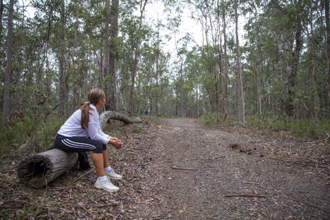 Ironbark Ridge And Spotted Gum Walking Trails - Lennox Head Accommodation 1