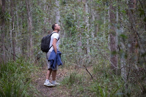 Ironbark Ridge And Spotted Gum Walking Trails - Lennox Head Accommodation 2