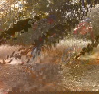 Kholo Gardens Trails - Lennox Head Accommodation
