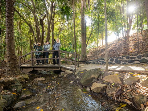 Kholo Gardens Trails - Lennox Head Accommodation 1