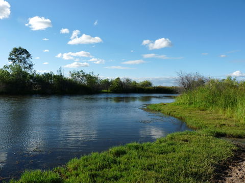 Lagoon Creek - Lennox Head Accommodation 2
