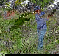 Lake Monjingup - Lennox Head Accommodation