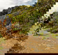 Mountain Biking Trails - Lennox Head Accommodation