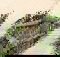 Pebbly Beach to Snake Bay walking track - Lennox Head Accommodation