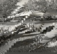 Pioneer Park - Lennox Head Accommodation