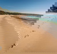Terrace Beach and Lennards Island - Lennox Head Accommodation