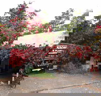 The Gallery Mt Macedon - Lennox Head Accommodation