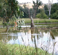 Tumut Wetlands - Lennox Head Accommodation