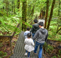 Yarra Ranges National Park - Lennox Head Accommodation