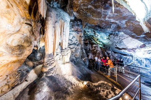 Jenolan Caves: Chifley Cave Tour - Lennox Head Accommodation 0