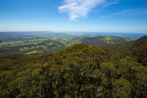 Illawarra Fly Treetop Adventures Treetop Walk Admission Ticket - Lennox Head Accommodation 6