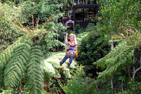 Illawarra Fly Treetop Adventures Treetop Walk Admission Ticket - Lennox Head Accommodation 2