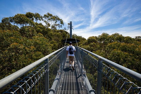 Illawarra Fly Treetop Adventures Treetop Walk Admission Ticket - Lennox Head Accommodation 0