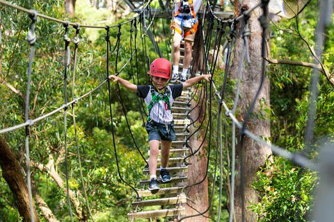 Illawarra Fly Treetop Adventures Treetop Walk Admission Ticket - Lennox Head Accommodation 3