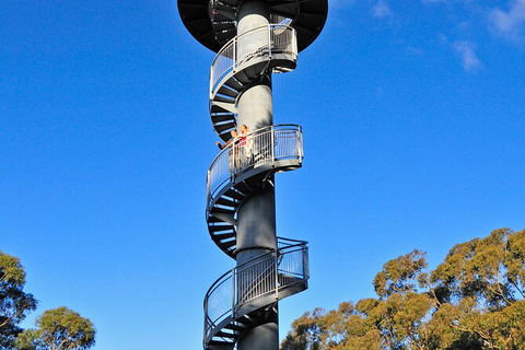 Illawarra Fly Treetop Adventures Treetop Walk Admission Ticket - Lennox Head Accommodation 5