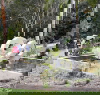 Maroochy Regional Bushland Botanic Garden - Lennox Head Accommodation
