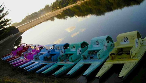 Terrigal Paddle Boats And Stand Up Paddle Boards - Lennox Head Accommodation 0