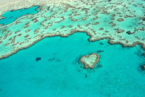 Whitsunday Region - Lennox Head Accommodation 0