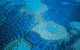 Whitsunday Region - thumb 2