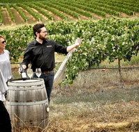 VIP Soil-To-Cellar Experience - Lennox Head Accommodation