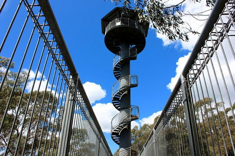 Illawarra Fly Treetop Adventures Admission Including Zipline Tour - Lennox Head Accommodation 3