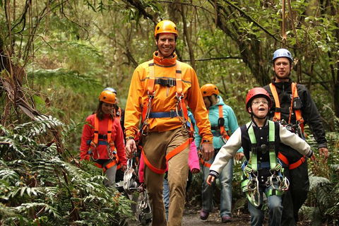 Illawarra Fly Treetop Adventures Admission Including Zipline Tour - Lennox Head Accommodation 1