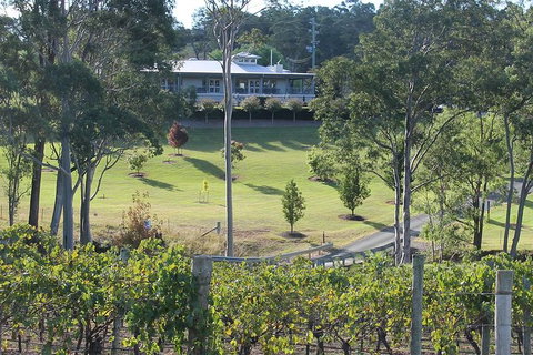 Tulloch Wines- Tasting Of 6 Pokolbin Dry Red Shiraz Vintages With Charcuterie - Lennox Head Accommodation 6