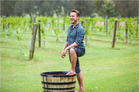 Hunter Valley Grape Stomping - Lennox Head Accommodation 0