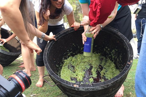 Hunter Valley Grape Stomping - Lennox Head Accommodation 3