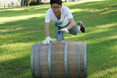 Hunter Valley Wine Barrel Rolling - Lennox Head Accommodation 2