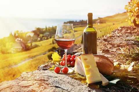 Six Hour - Plan Your Own Wine And Cheese Tour Hunter Valley - Lennox Head Accommodation 0