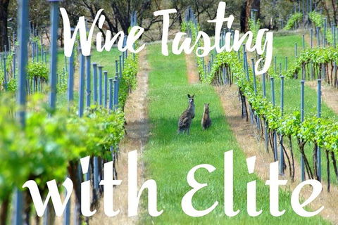 Six Hour - Plan Your Own Wine And Cheese Tour Hunter Valley - Lennox Head Accommodation 7