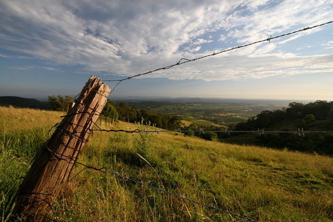 Private Full-Day Wine Tour In Hunter Valley - Lennox Head Accommodation 3