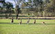 Private Full-Day Wine Tour In Hunter Valley - thumb 2