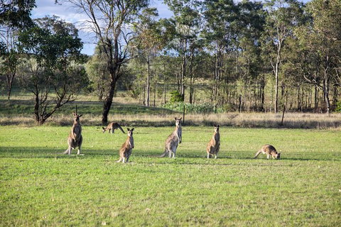 Private Full-Day Wine Tour In Hunter Valley - Lennox Head Accommodation 2